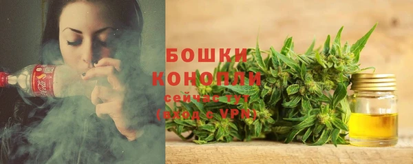 ALPHA-PVP Ельня