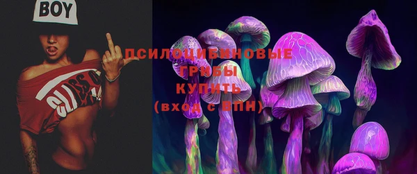 прущая мука Елабуга